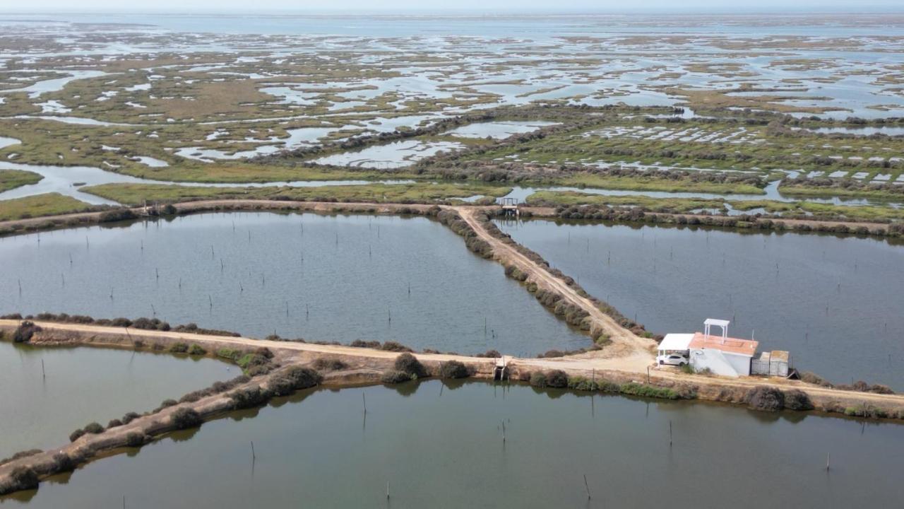 Herdade Dos Salgados Do Fialho Distrikt Distrikt Faro Exterior foto