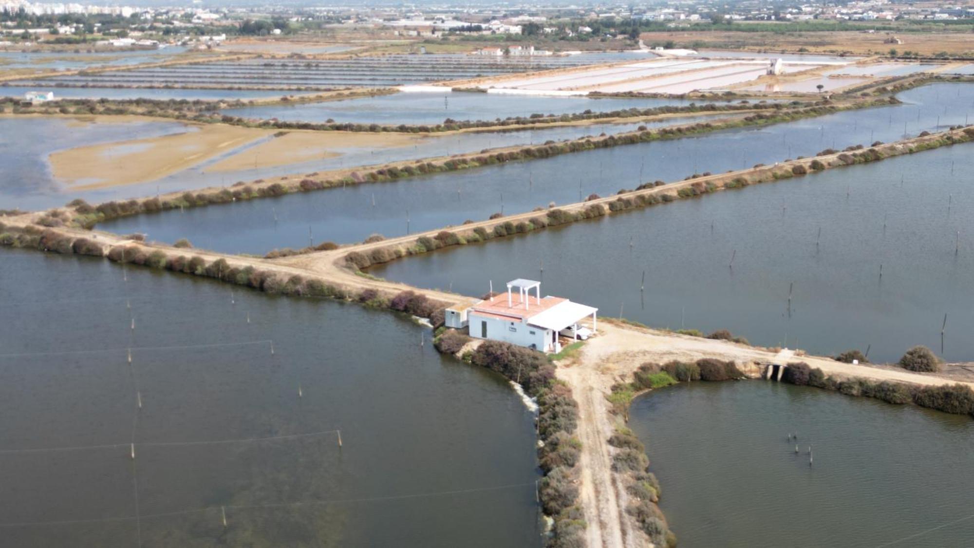 Herdade Dos Salgados Do Fialho Distrikt Distrikt Faro Exterior foto